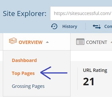 sitesuccessful-top-pages